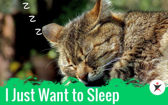 I Just Want to Sleep | ChinesePod