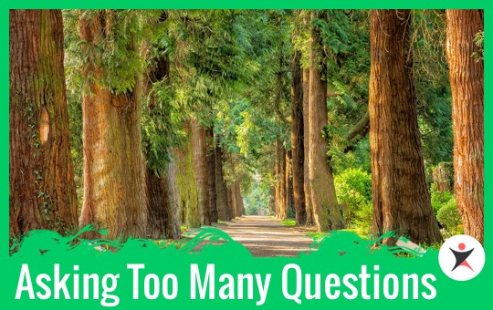 Asking Too Many Questions | ChinesePod