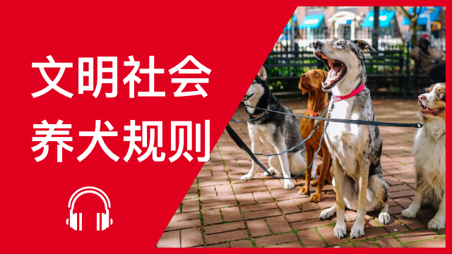 Social credit score for China’s pet owners 文明社会 养犬规则 | ChinesePod