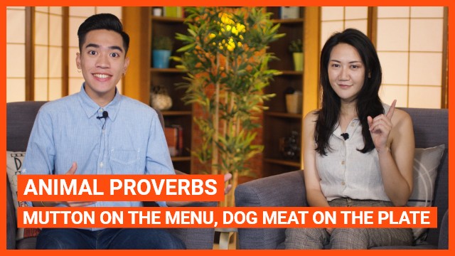 Animal proverbs: Mutton on the menu, dog meat on the plate | ChinesePod