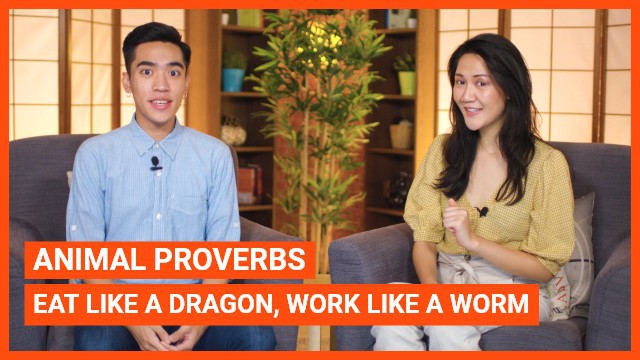 Animal Proverbs: Eat like a dragon, work like a worm | ChinesePod