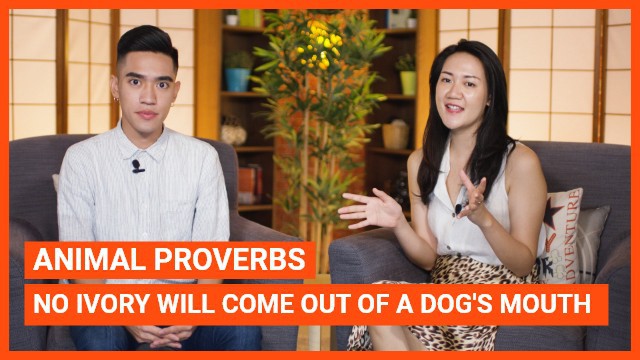 Animal Proverbs: No ivory will come out of a dog's mouth | ChinesePod