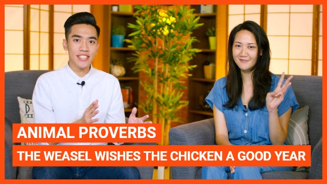 Animal Proverbs: The weasel wishes the chicken a good year | ChinesePod