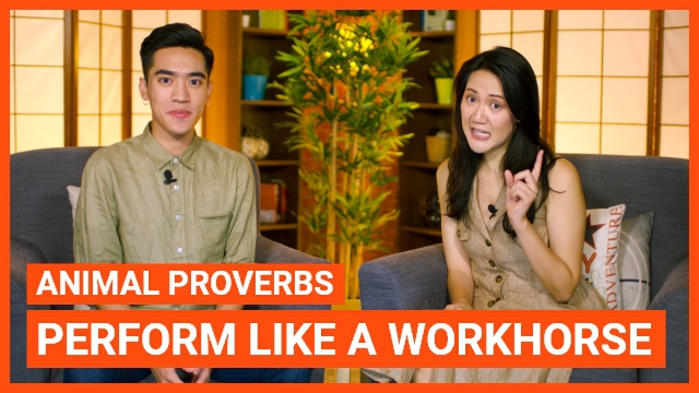 Animal Proverbs: Perform like a workhorse | ChinesePod