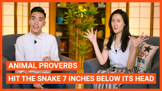 Animal Proverbs - Hit the snake 7 inches below its head | ChinesePod