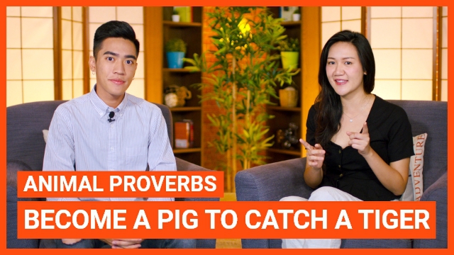 Animal Proverbs: Become a pig to catch a tiger | ChinesePod
