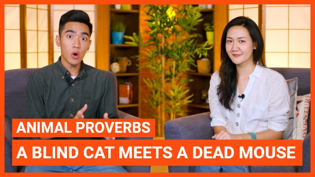 Animal Proverbs: A blind cat meets a dead mouse | ChinesePod
