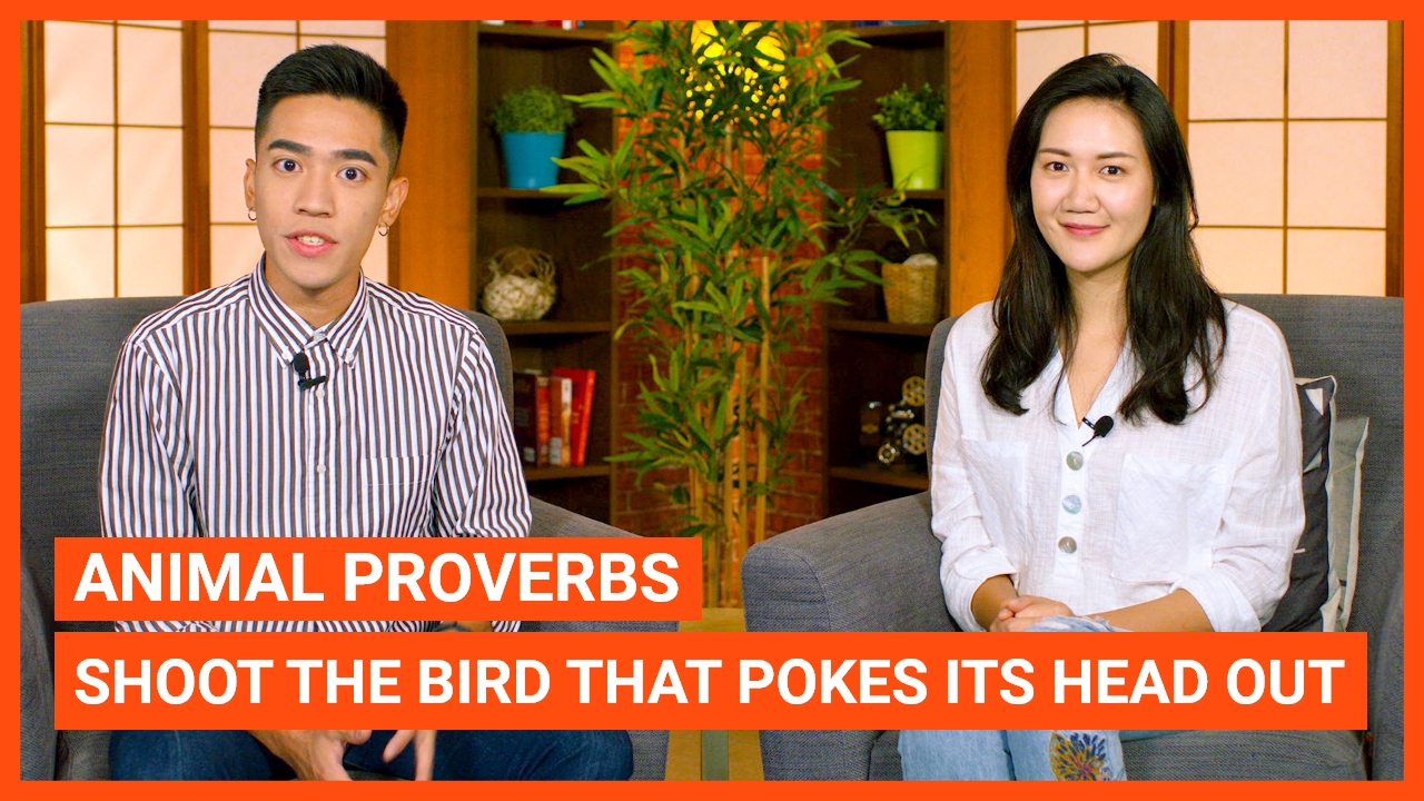Animal Proverbs: Shoot the Bird That Pokes Its Head Out | ChinesePod