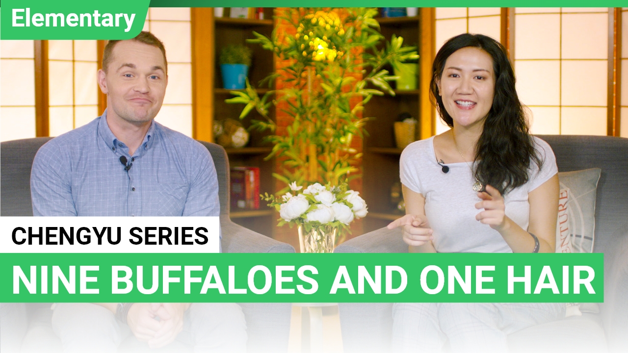 Chengyu Series - Nine Buffaloes and One Hair | ChinesePod
