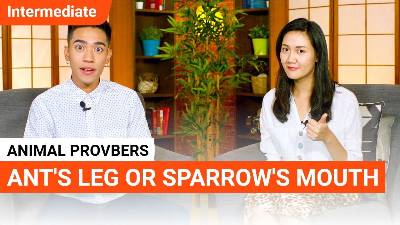 Animal Proverbs: Ant's Leg or Sparrow's Mouth? | ChinesePod